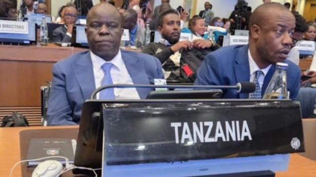 Dkt Muyungi ashiriki Mkutano Agenda ya Maendeleo Endelevu