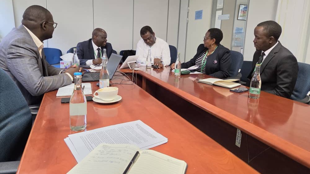 Tanzania na UNEP kuimarisha ushirikiano uhifadhi wa mazingira, ustahimilivu wa mabadiliko ya tabianchi