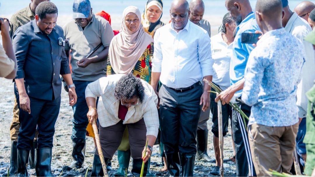 Naibu Waziri Kwagilwa ashiriki upandaji mikoko pwani ya Tanga