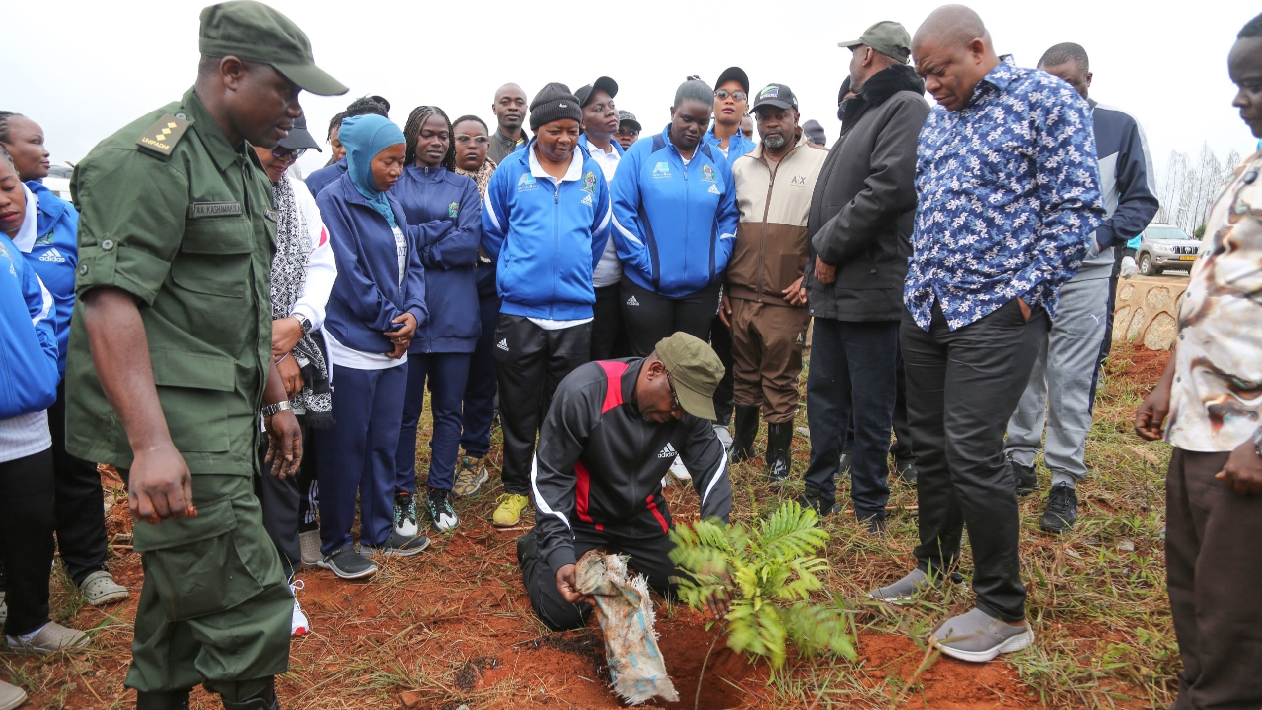 Kampeni ya ‘27 ya Kijani, Mti wa Mama’ yatengeneza Fursa Mkoa wa Njombe