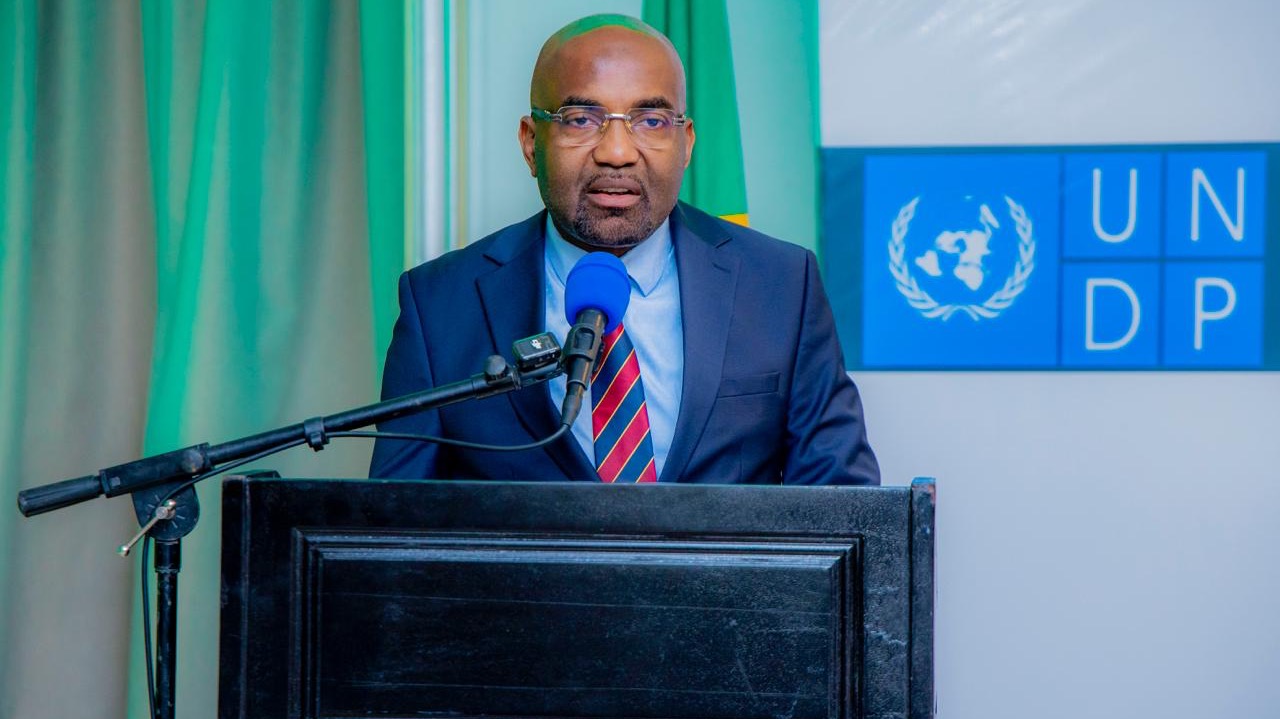 Masauni: Tanzania kujipanga kuwa kitovu cha soko la kaboni Afrika