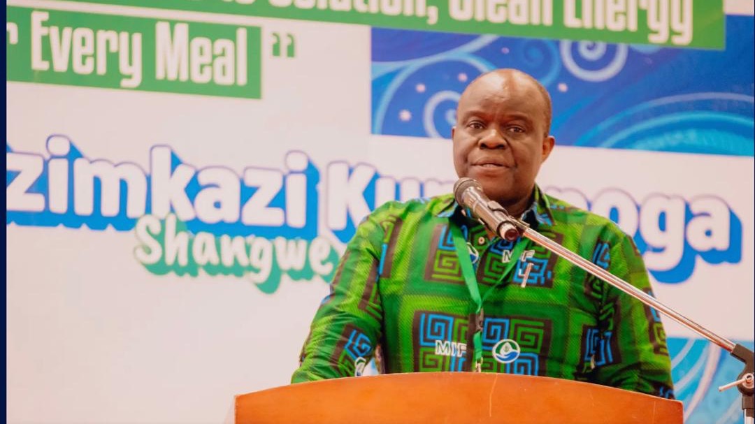 Dkt Muyungi: Serikali yaongeza kasi ya matumizi ya nishati safi ya kupikia