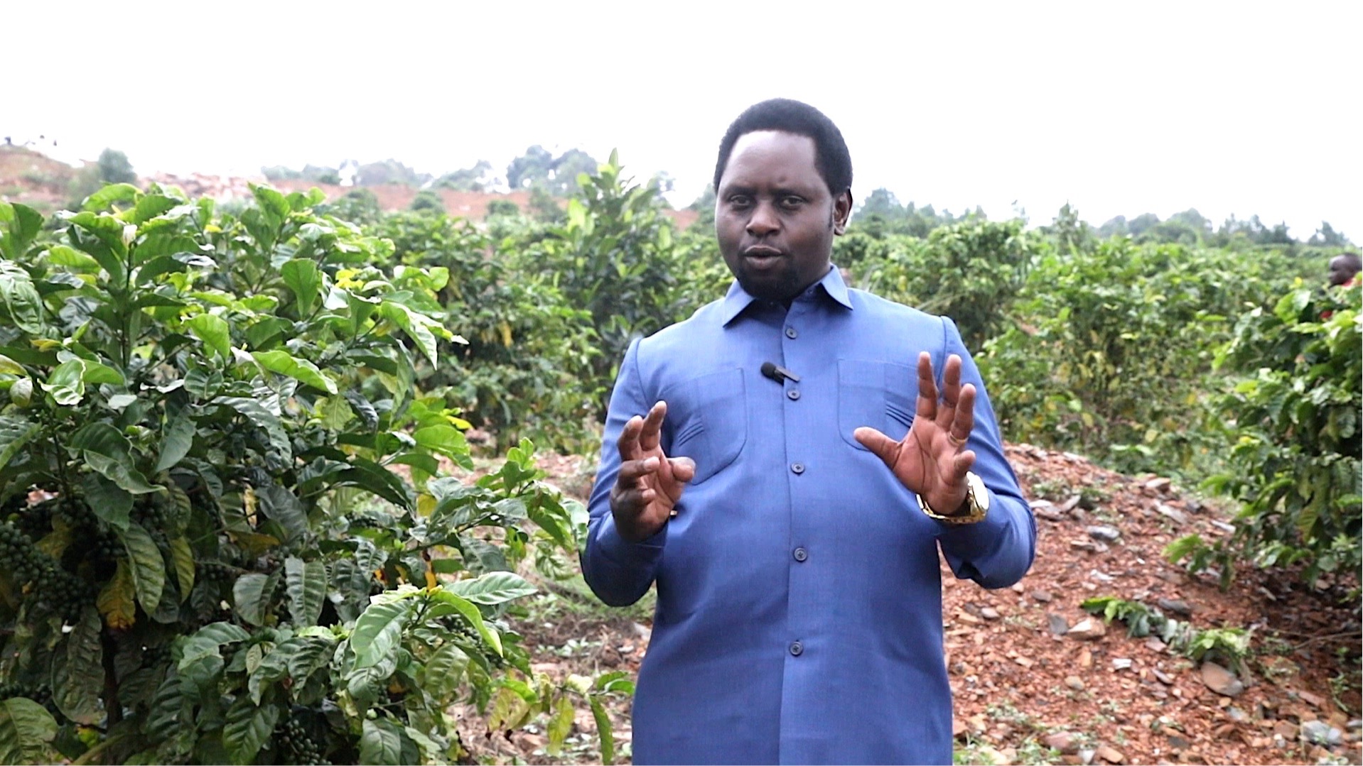 Biashara ya Kaboni kunufaisha wananchi 100,000 Karagwe