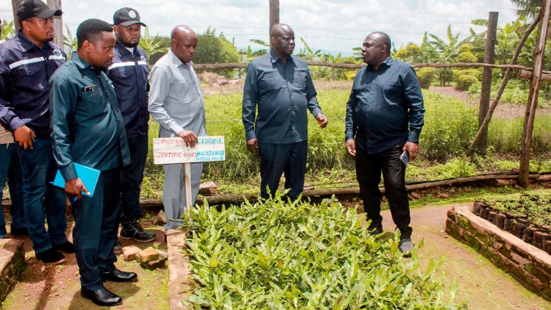 Dkt Muyungi: Biashara ya kaboni kuingiza bilioni 2 kila mwaka